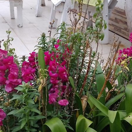 Siete Colores, Pileclimatiz Villa Ventana Kültér fotó